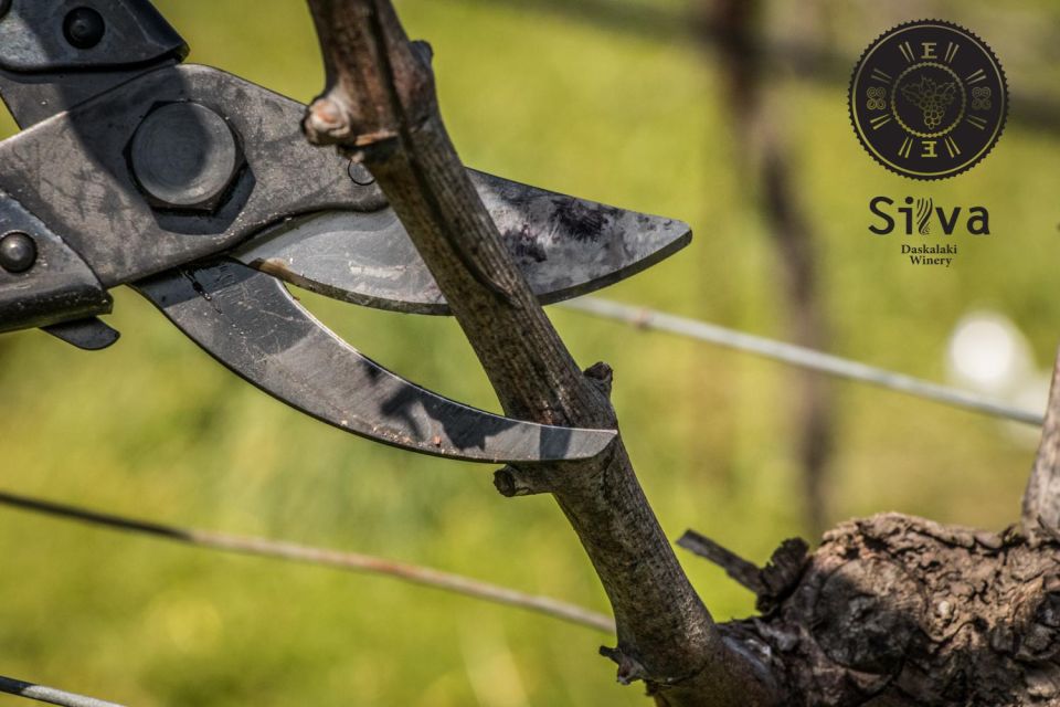 Heraklion: Private Wine Tour of Dafnes Valey - The Scenic Journey