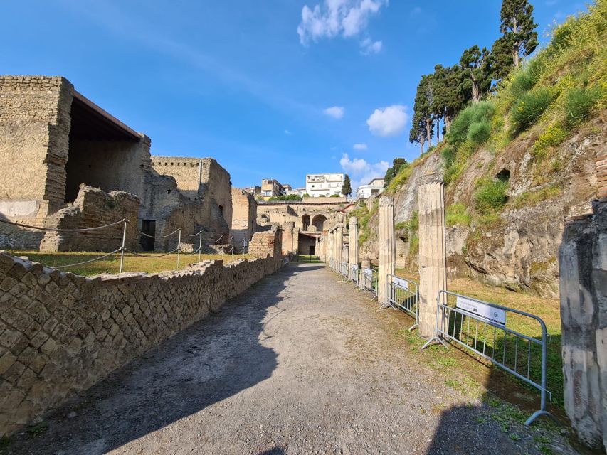 Herculaneum Archaeological Park Smart Audio Tour - User Ratings and Feedback