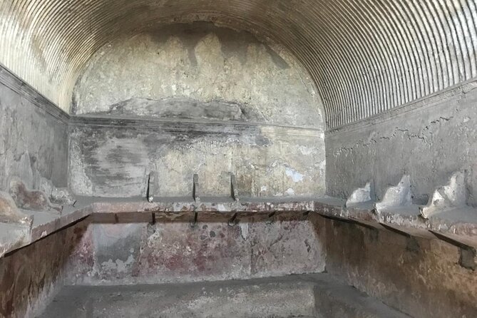 Herculaneum - Small Group Tour - Accessibility and Participation