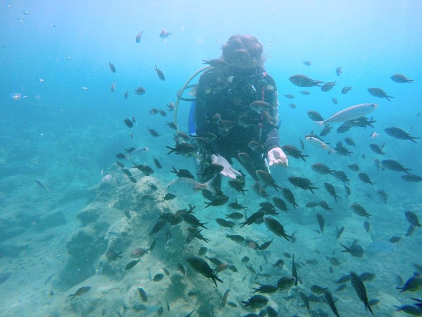 Hersonissos, Stalida: Beginner Scuba Diving Experience - Meeting Point and Arrival