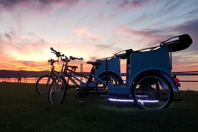 Hi-5 Rickshaw Tour Traverse City - First Thing You MUST Do in TC! - Accessibility and Family Options