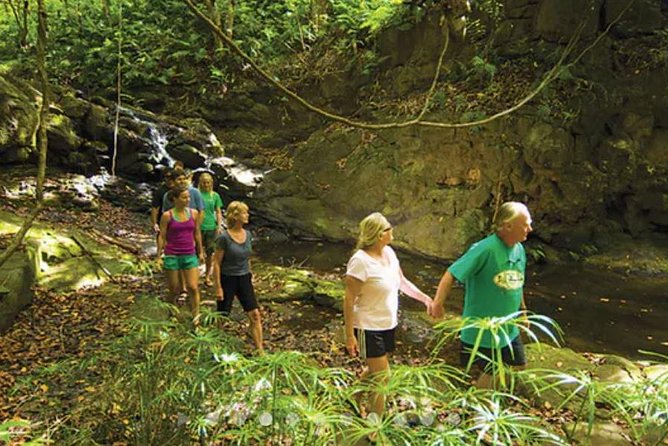 Hidden Valley Falls Kayak and Kauai Hike Adventure - Meeting Point and Pickup