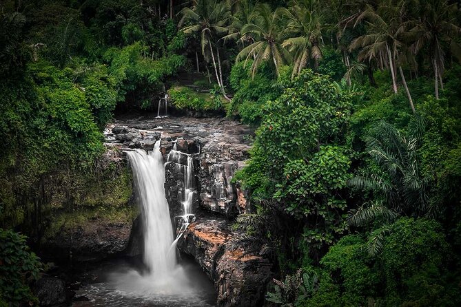 Highlights of Ubud Tours (Tickets Inclusive) - Health and Accessibility Considerations