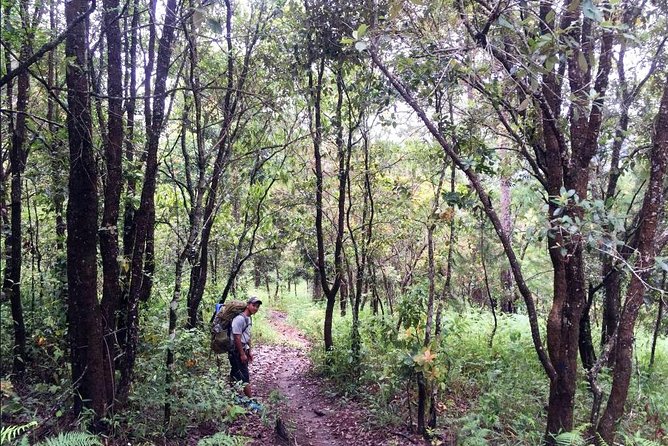 Hike and Kayak With Exploring Tuyen Lam Lake in Da Lat - Meeting Points and Pickup Information