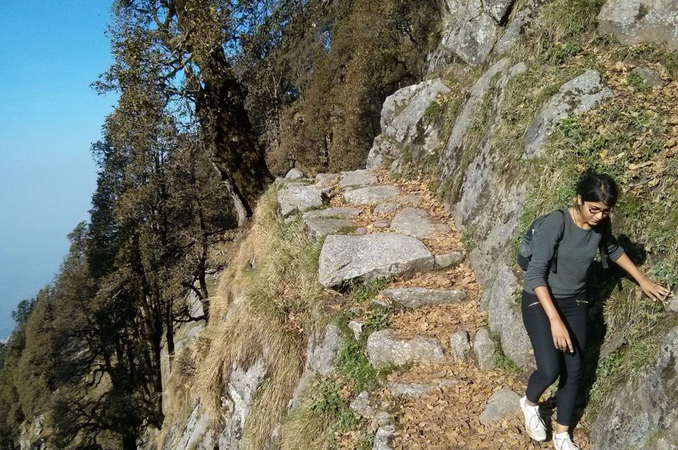 Hiking Day Tour to Triund From Dharamshala - What to Expect