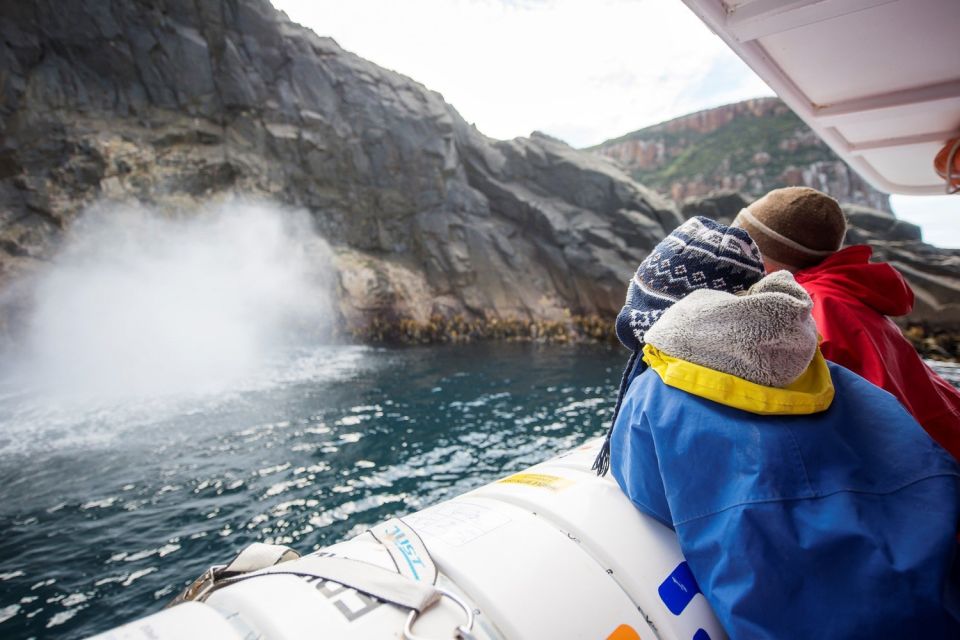 Hobart: Bruny Island Wilderness Coast Eco Cruise With Lunch - Recap