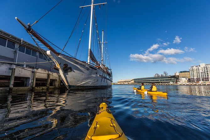 Hobart Kayak Tour - Cancellation Information