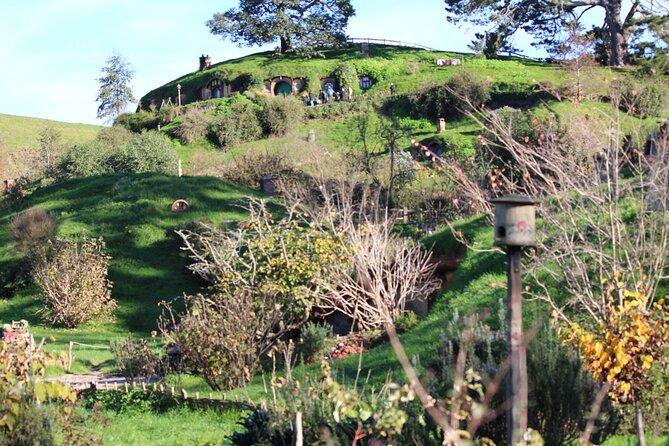 Hobbiton and Spellbound Tour (Glowworm Cave at Waitomo) - Tips for a Great Tour