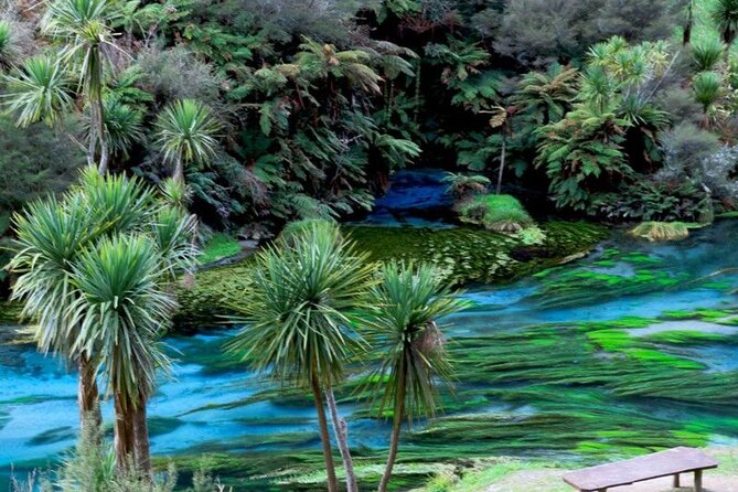 Hobbiton Movie Set Tour to Blue Springs and Mineral Spa - Meeting and Pickup Details