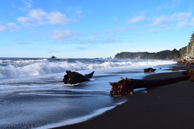 Hoh Rain Forest and Rialto Beach Guided Tour in Olympic National Park - Meeting Point and Transportation