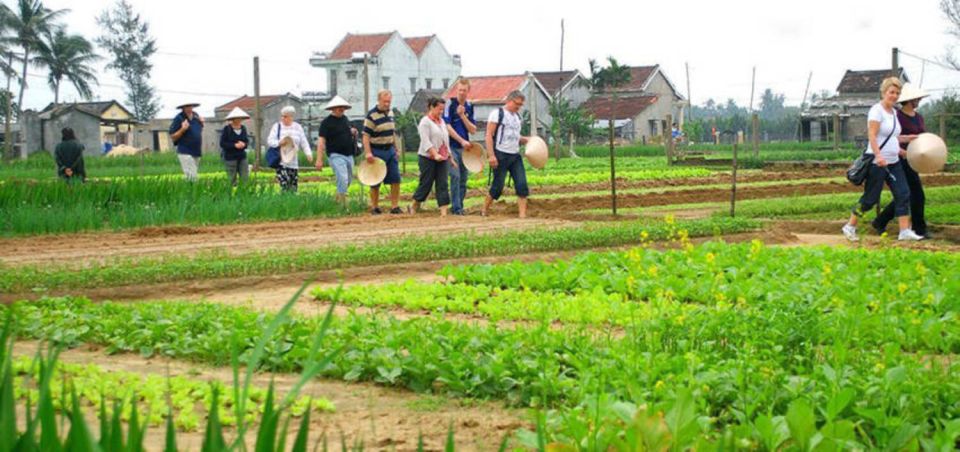 Hoi An: Tra Que Herb Village Cooking Class - Customer Reviews and Ratings