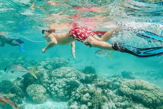 Hol Chan Marine Reserve Snorkel and Caye Caulker Tour 40 Sirena Azul Sailboat - Tips for Enjoying the Tour