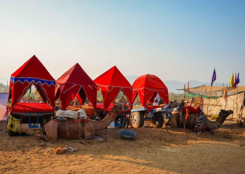 Holy Pushkar and Ajmer Trails (Guided Full Day Tour) - Preparation Tips