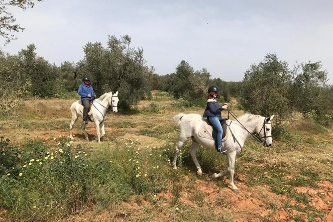 Horse Riding Excursion From Seville - Traveler Experiences