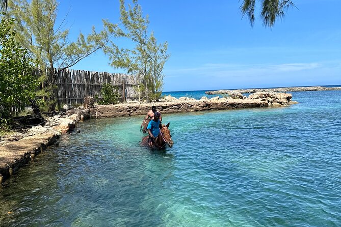 Horseback Ride and Swim Tour In Montego Bay - Addressing Common Concerns