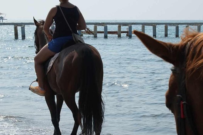 Horseback Riding in Bodrum - Booking and Cancellation Policy