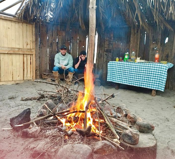 Horseback Riding, Penguins, Winery, Alpacas & Cowboy BBQ - Casa Blanca Winery Visit