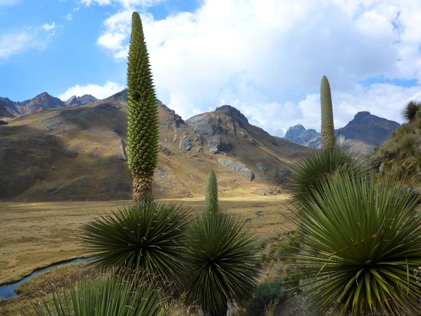 Huaraz: Pastoruri Glacier Day Trip - Important Information