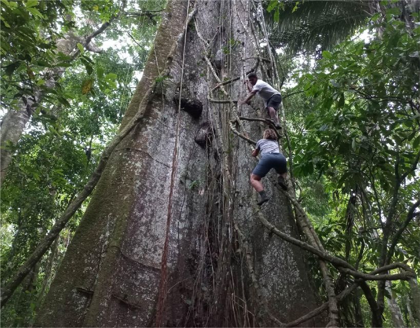 Iquitos: Adventure on the Black River (Yanayacu) | 4 Days - Mud Bath and Fishing