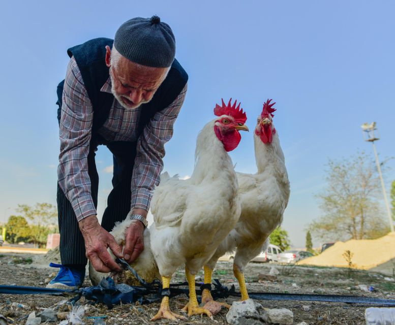 Istanbul: Photography Tour With a Professional Photographer - Participant Information