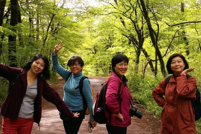 Jeju Island Private Half Day Transport : South / West - Tips for a Smooth Experience