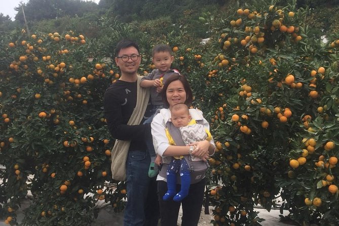Jeju Island Private Taxi Tour : 2 Full Days - Exclusions and Gratuities
