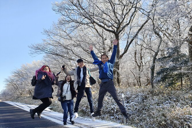 Jeju Island Private UNESCO Tour - for Cruise Customer - Customer Experience and Feedback