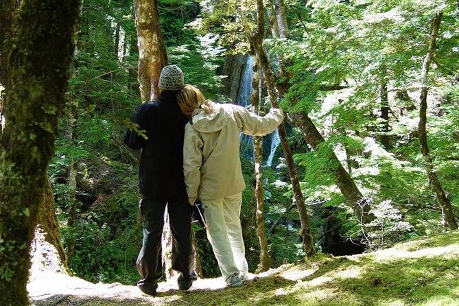 Jet Boat and Wilderness Walk Tour From Wanaka - Accessibility and Fitness