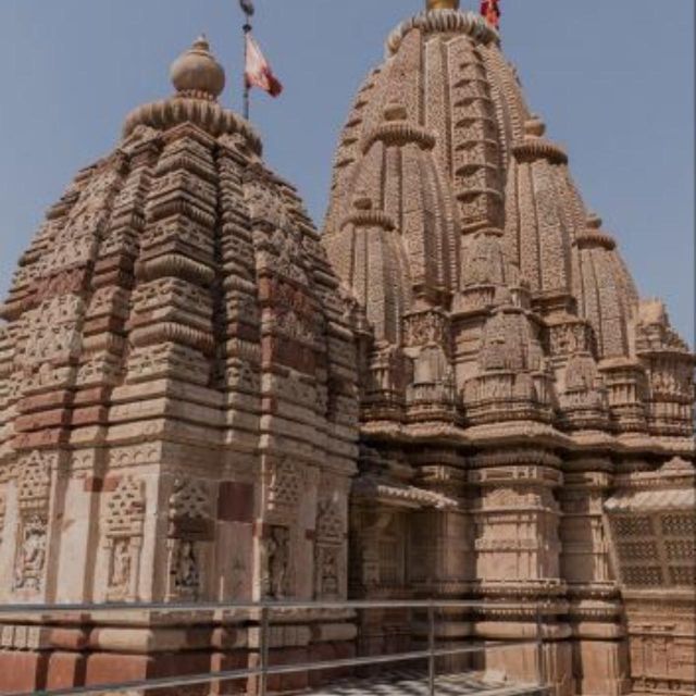 Jodhapur Camel Safari and Food - Local Rajasthani Cuisine