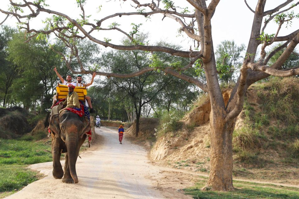 Jodhpur: Blue City Walking Tour - What to Expect