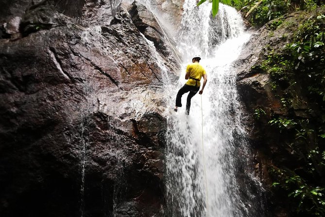 Jungle Trekking + Waterfall Abseiling - Wildlife and Nature Experience