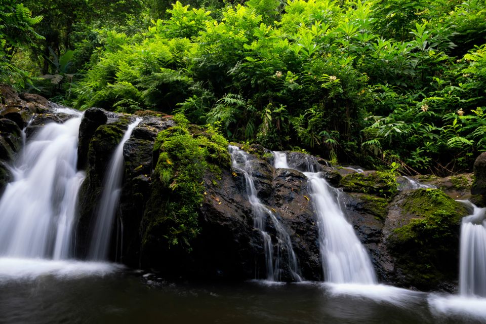 Kahului: Guided Rainforest and Waterfall Walk - Swimming and Jumping