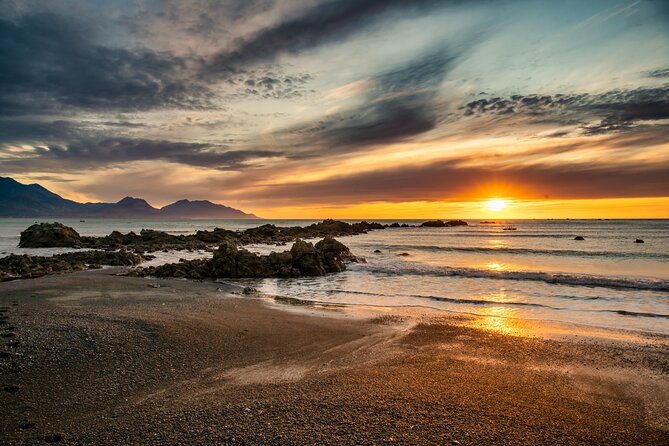 Kaikoura Day Trip From Christchurch (Small Group & Carbon Neutral) - Detailed Tour Itinerary