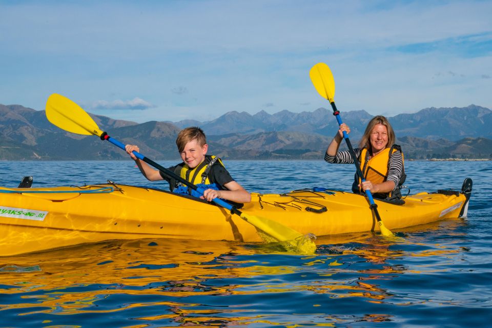 Kaikoura: Guided Family Kayaking Adventure - Best Sea Conditions