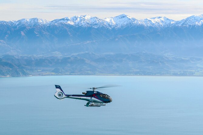 Kaikoura Helicopters Extended Whale Watch Flight - Customer Experience and Reviews