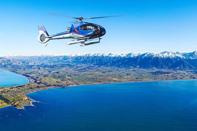 Kaikoura Helicopters Top N Tail Whale Watch Flight - What to Bring