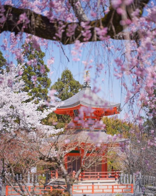 Kansai 10-Hour Chartered Day Trip | Kyoto - Discovering Kinkakuji Temples Golden Pavilion