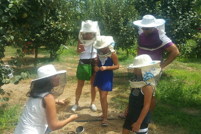 Katakolon Shore Excursion: Olympic Site, Honey/Olive Oil Tasting - Tour Group Size