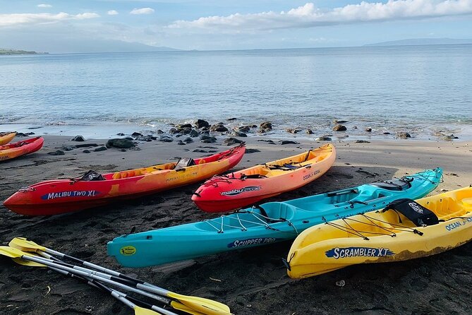 Kayak and Snorkel: Maui West Shore - Customer Reviews