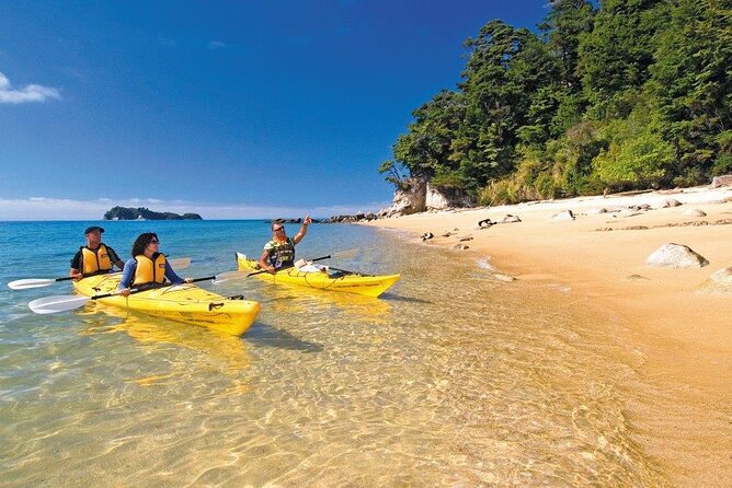 Kayak & Pitt Head Nature Loop - Guided Kayak & Unguided Walk - New Zealand - Booking Information