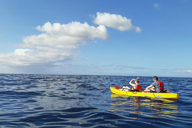 Kayak With Dolphin & Turtle Watching Private Tour - Booking Your Adventure