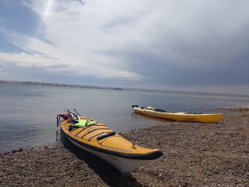 Kayaking Adventure in Puerto Madryn - Participant Restrictions