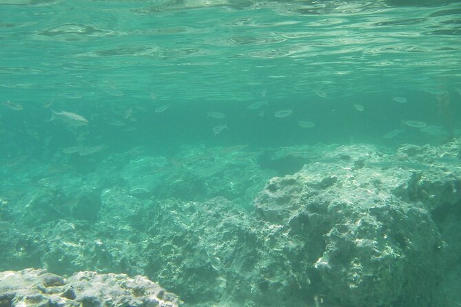 Kekova Private Full-Day Boat Trip - Booking and Cancellation Policies