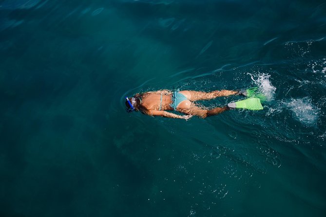 Key West Safari Eco Sandbar Tour Adventure With Snorkeling - Safety and Accessibility