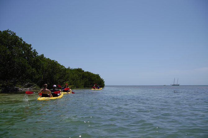 Key West Schooner Backcountry Eco-Tour: Sail, Snorkel & Kayak - Important Tour Considerations