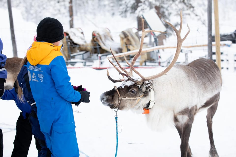 KIRUNA: Sami Reindeer Experience - Transportation and Meeting Point