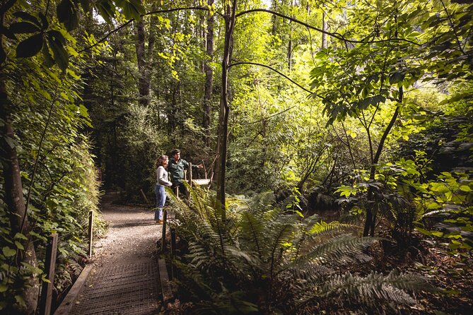Kiwi Park Queenstown Admission - Accessibility Options