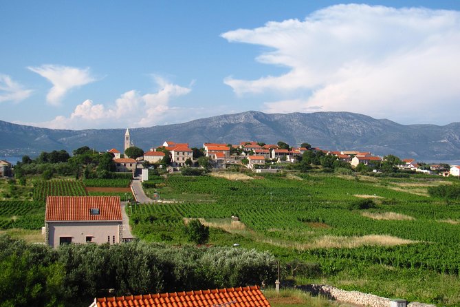 Korcula Bike & Wine Tour - Bicycle Use