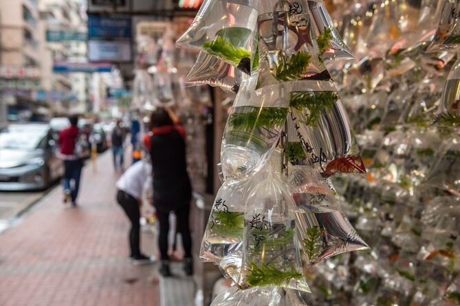 Kowloon Walking Tour on the Dark Side of Hong Kong - Traversing Lower Income Areas