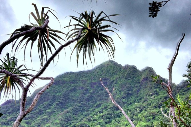 Kualoa Ranch Electric Mountain Bike Tour: Novice Level - Traveler Experiences and Insights